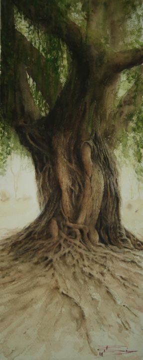 Peinture intitulée "Árvore Mãe, jardim…" par Francisco Salgado Dias, Œuvre d'art originale, Aquarelle