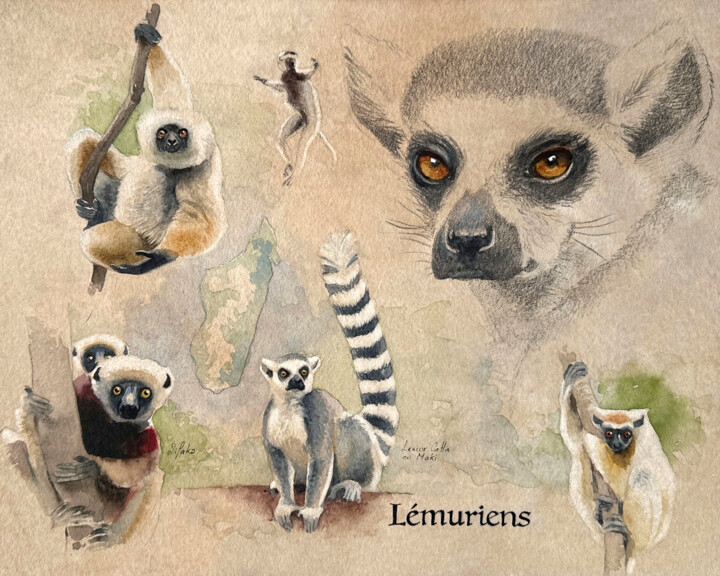 Painting titled "Lémuriens" by Franck Herete, Original Artwork, Watercolor