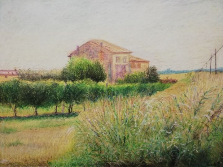 Painting titled "Casale tra i vigneti" by Franco Forante, Original Artwork, Pastel