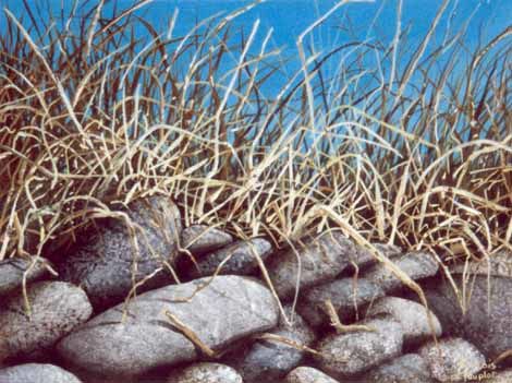 Peinture intitulée "cachée!" par Francois Mauplot, Œuvre d'art originale,