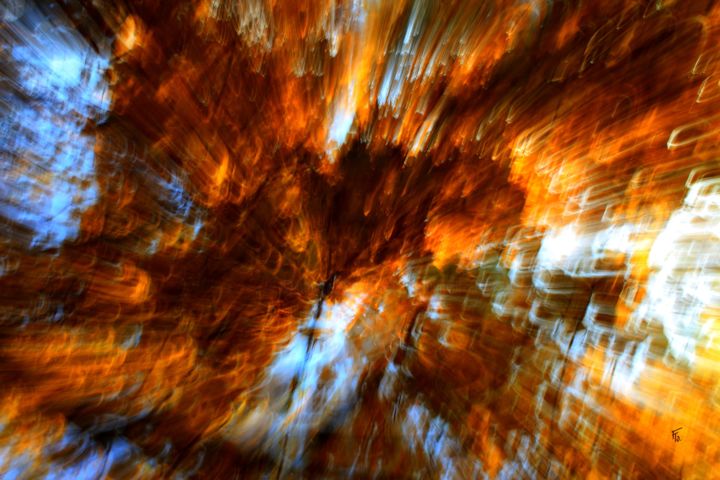 Fotografia intitulada "Explosion d'automne" por François Tondeur, Obras de arte originais