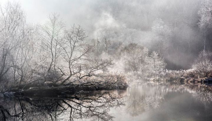 Photographie intitulée "AAA1748.jpg ... Fée…" par Francois Aurora, Œuvre d'art originale