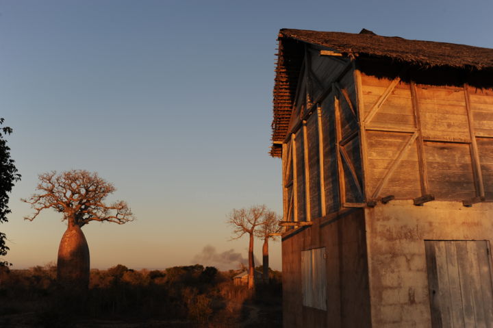 「baobab」というタイトルの写真撮影 François Carageによって, オリジナルのアートワーク, 操作されていない写真