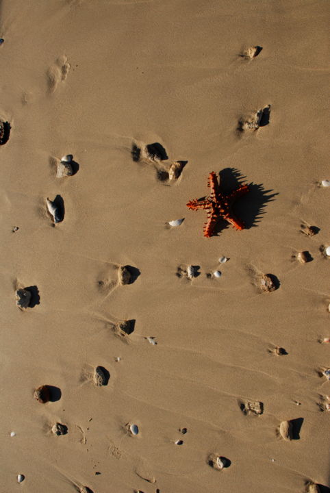 「étoile de mer」というタイトルの写真撮影 François Carageによって, オリジナルのアートワーク, 操作されていない写真