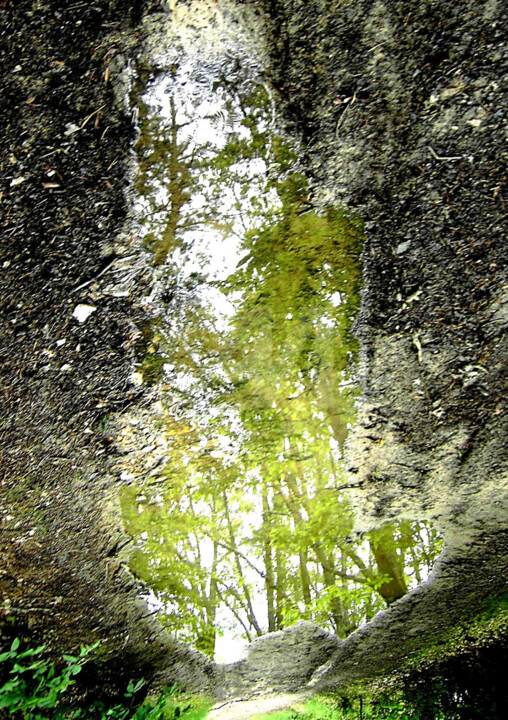 Photographie intitulée "Reflet" par Françoise Aubert-Moreau, Œuvre d'art originale, Photographie non manipulée