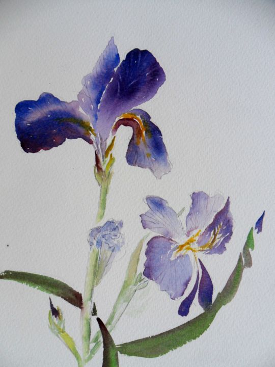 Peinture intitulée "irisbleu1.jpg" par Françoise Pillou, Œuvre d'art originale, Aquarelle