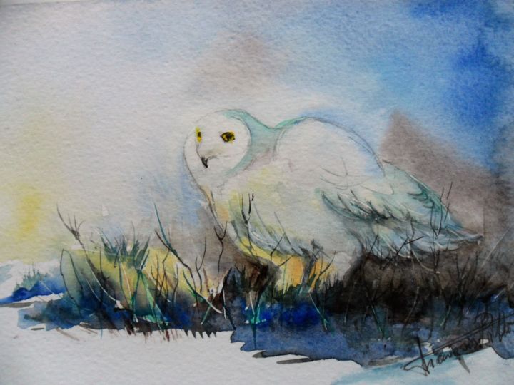 Peinture intitulée "Chouette" par Françoise Pillou, Œuvre d'art originale, Aquarelle