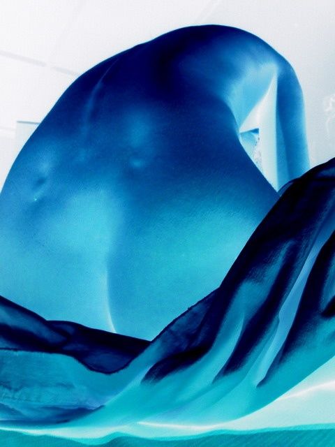 Photographie intitulée "dos bleu" par François Tamalet, Œuvre d'art originale