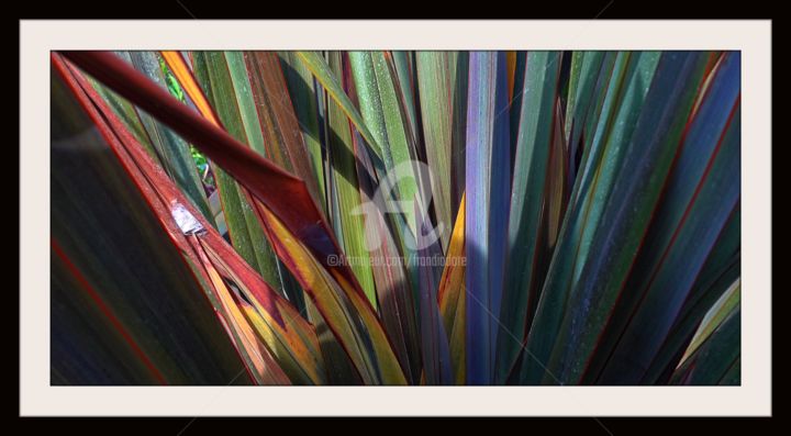 Photography titled "Couleurs" by Frandiodore, Original Artwork, Digital Photography