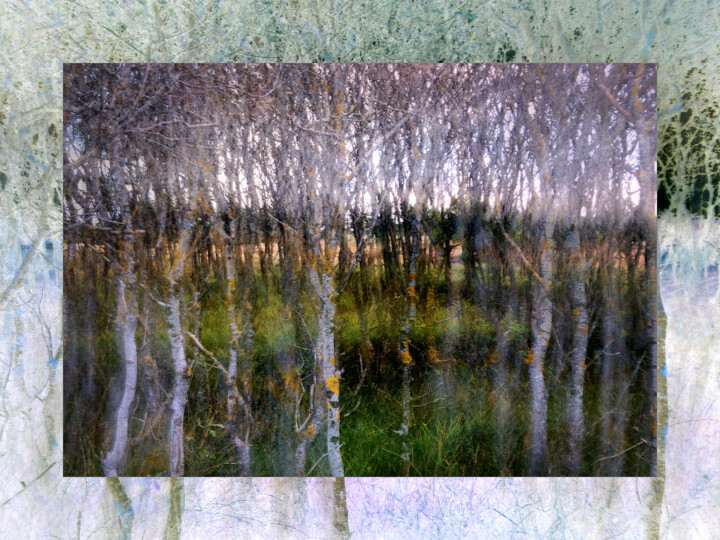 Photography titled "Waldtraum in Blåvand" by Frank Wichmann, Original Artwork, Digital Photography