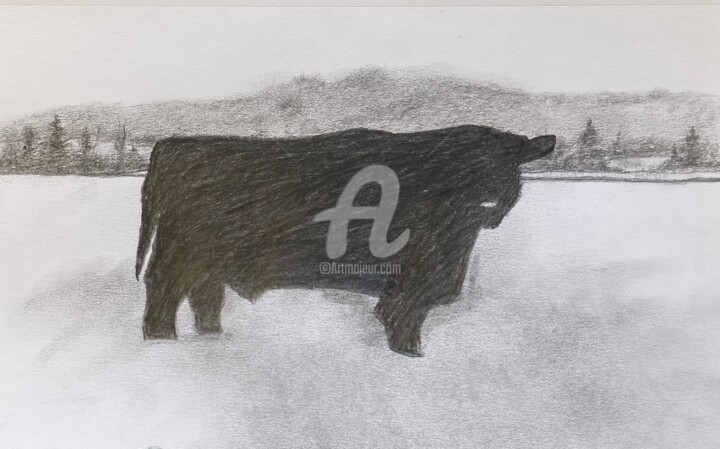 Dessin intitulée "Bull" par Frank Illo, Œuvre d'art originale, Crayon