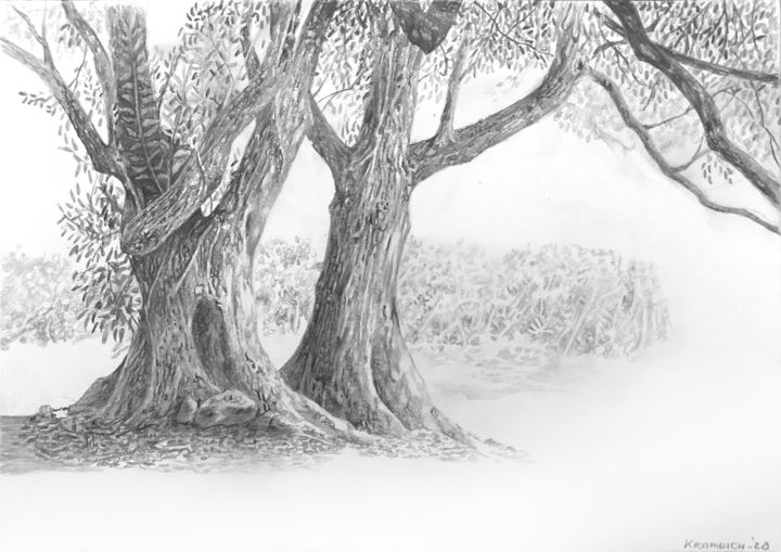 Dessin intitulée "Silence" par Franzart, Œuvre d'art originale, Crayon
