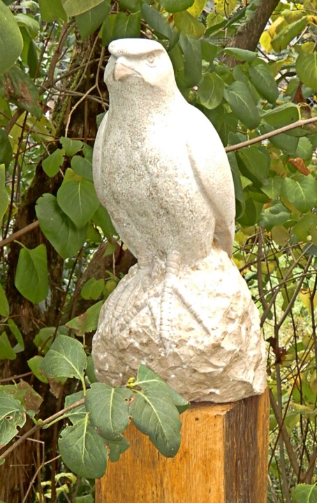 Skulptur mit dem Titel "Falke" von Franz Berger, Original-Kunstwerk, Stein