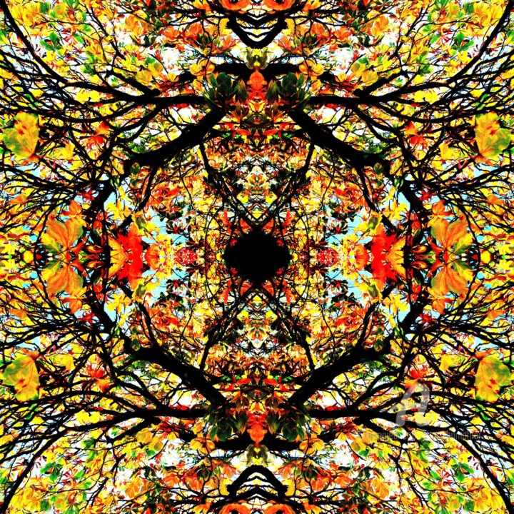 Digital Arts titled "Mandala 01" by Franz Hümpfner, Original Artwork, Digital Painting Mounted on Metal