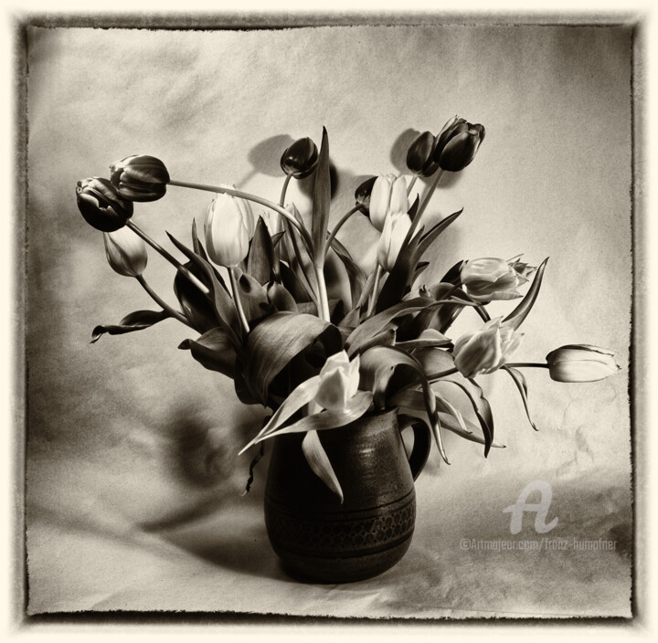 Fotografie mit dem Titel "Bouquet of tulips i…" von Franz Hümpfner, Original-Kunstwerk, Analog Fotografie