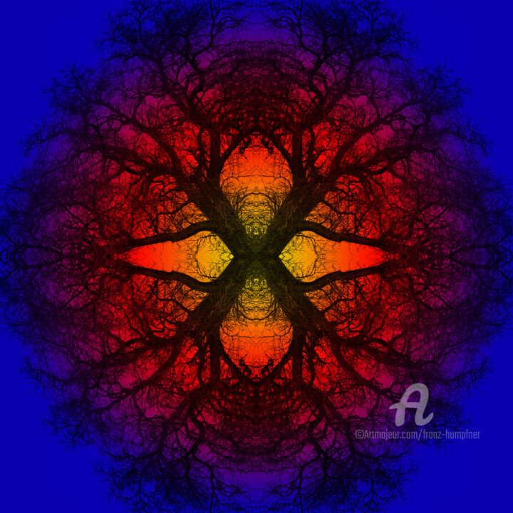 Digital Arts titled "Mandala # 4" by Franz Hümpfner, Original Artwork, Digital Photography Mounted on Aluminium