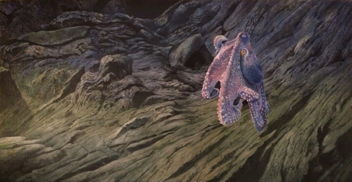 Painting titled "octopus" by Franzart, Original Artwork, Oil