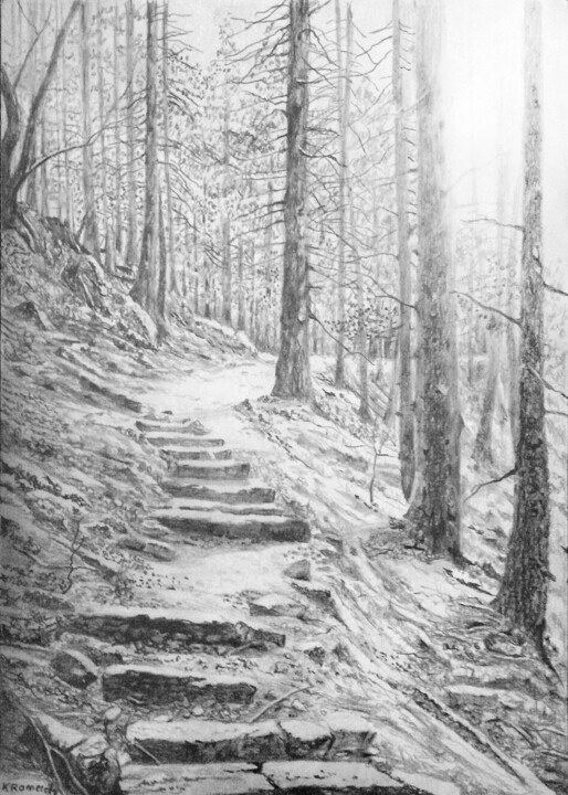 Drawing titled "forêt -1 (scetch pe…" by Franzart, Original Artwork, Pencil