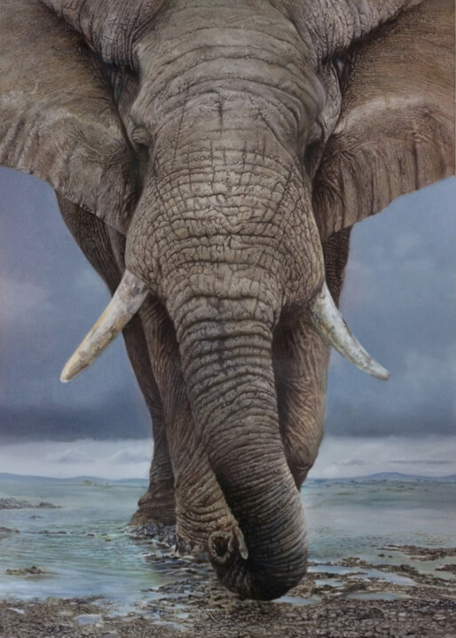 Schilderij getiteld "elephant 3, matriar…" door Franzart, Origineel Kunstwerk, Olie