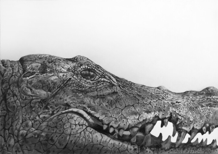 Disegno intitolato "croc 1 - quick penc…" da Franzart, Opera d'arte originale, Matita