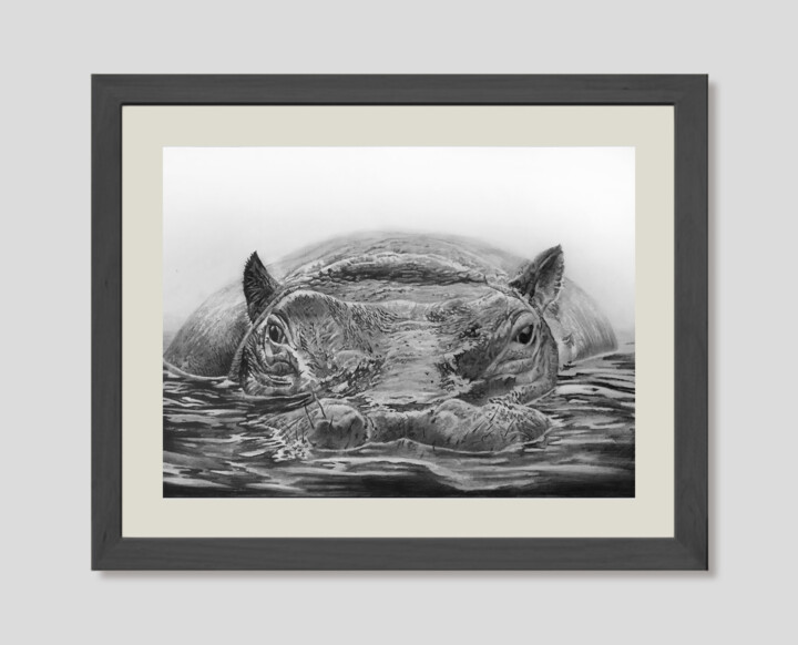 "hippo 3 - pencil -…" başlıklı Resim Franzart tarafından, Orijinal sanat, Kalem