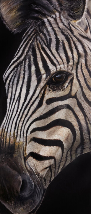 Painting titled "zebra portret" by Franzart, Original Artwork, Oil