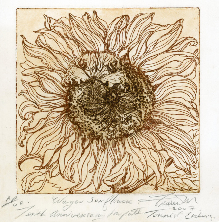 Printmaking titled "The Wagon Sunflower" by Fraser Maciver (1960 - 2019), Original Artwork, Etching