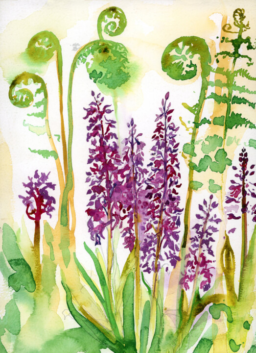 Malarstwo zatytułowany „Early Purple Orchid…” autorstwa Fraser Maciver (1960 - 2019), Oryginalna praca, Akwarela