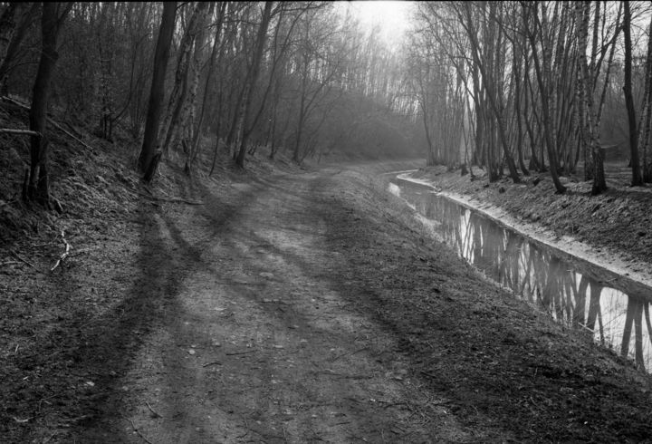 Photography titled "le chemin" by Frédéric Duchesnay, Original Artwork, Analog photography