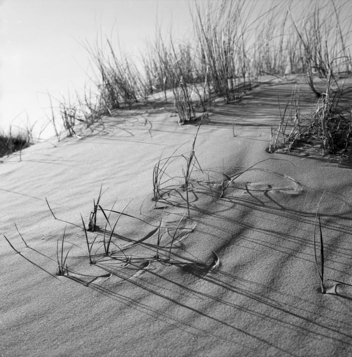 Photography titled "Dune de sable" by Frédéric Duchesnay, Original Artwork, Analog photography
