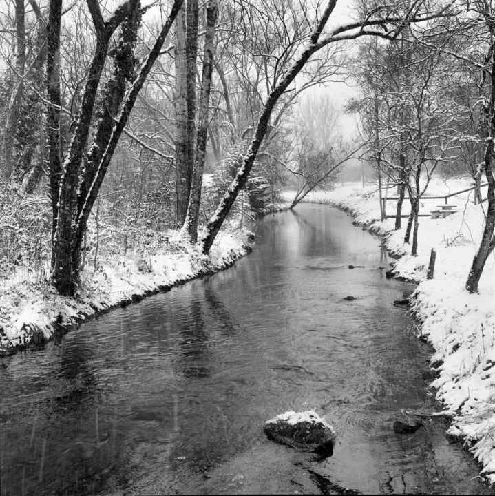 Fotografia intitolato "Rivière" da Frédéric Duchesnay, Opera d'arte originale, fotografia a pellicola