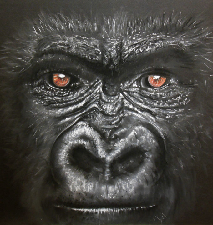 图画 标题为“gorille.jpg” 由Frédéric Mauron, 原创艺术品, 粉彩