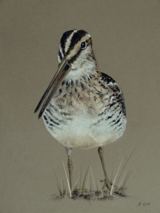 Rysunek zatytułowany „Pastel bécassine” autorstwa Frederic Goze, Oryginalna praca, Pastel