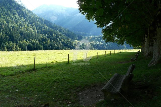 Photography titled "Prairie" by Frédérique Ziolko, Original Artwork