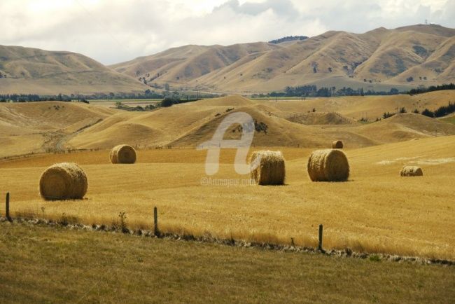 Photography titled "Wither Hills" by Frédérique Ziolko, Original Artwork