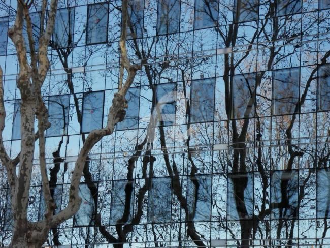 Fotografia intitulada "reflets" por Frédérique Ziolko, Obras de arte originais