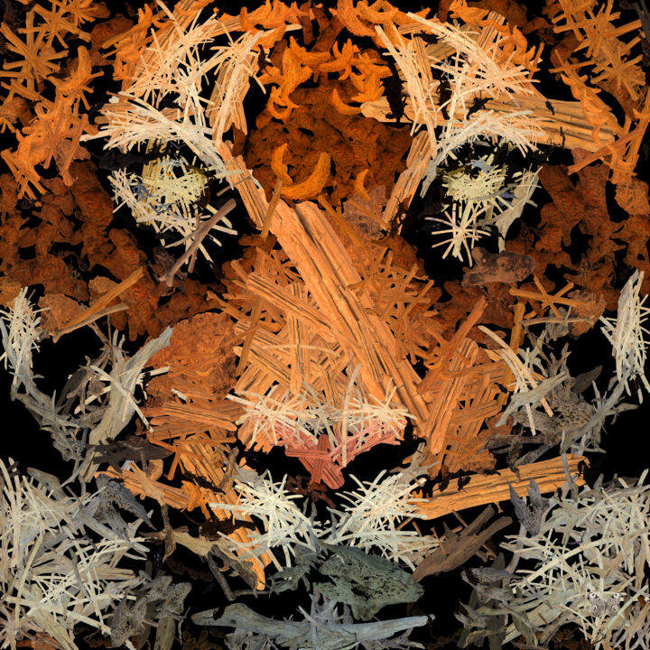 Digital Arts titled "Tiger Out Of Woods…" by Frédéric Durieu & Nathalie Erin, Original Artwork, 2D Digital Work Mounted on W…