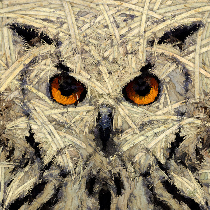 Digital Arts titled "Owl Out Of Woods 1" by Frédéric Durieu & Nathalie Erin, Original Artwork, 2D Digital Work Mounted on Wo…