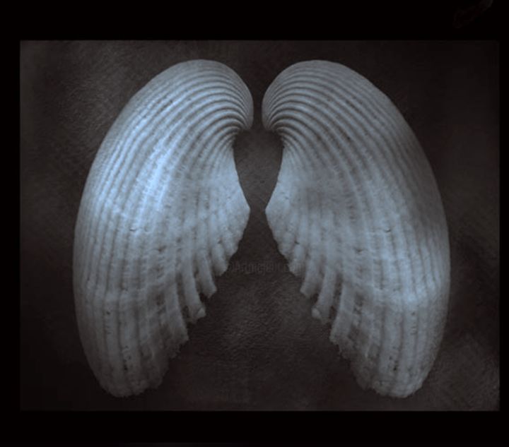 Peinture intitulée "angel-shells-2.jpg" par Freedom World, Œuvre d'art originale