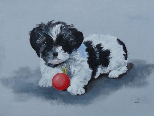 Schilderij getiteld "Hondje met bal" door Frits Janse, Origineel Kunstwerk, Olie