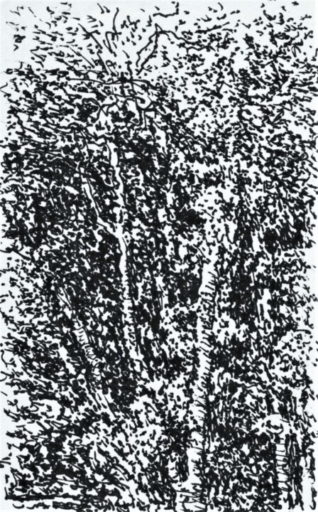 Dessin intitulée "trees" par Frits Sergeant, Œuvre d'art originale, Encre