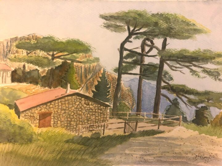 Painting titled "Bergerie Corse" by Guillaume Flouriot, Original Artwork, Watercolor