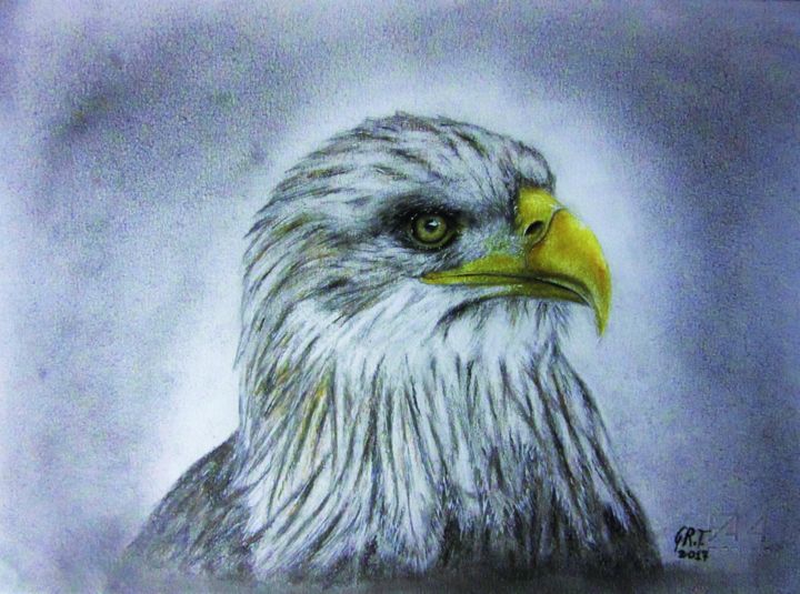 Drawing titled "Eagle" by Gian Roberto Tognetti, Original Artwork, Conté