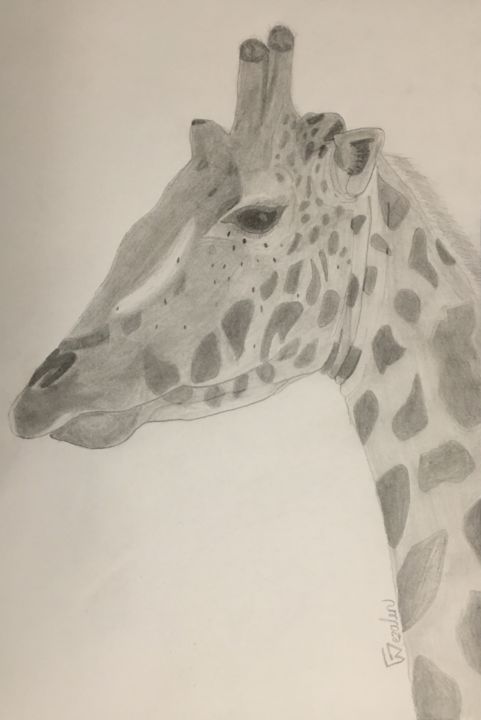 Dessin intitulée "Giraphe graphite" par Wezalen, Œuvre d'art originale, Graphite