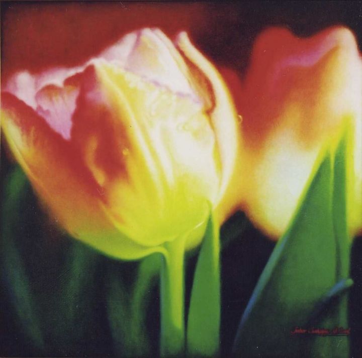 Painting titled "Two Tulips" by Gabor Csakany, Original Artwork