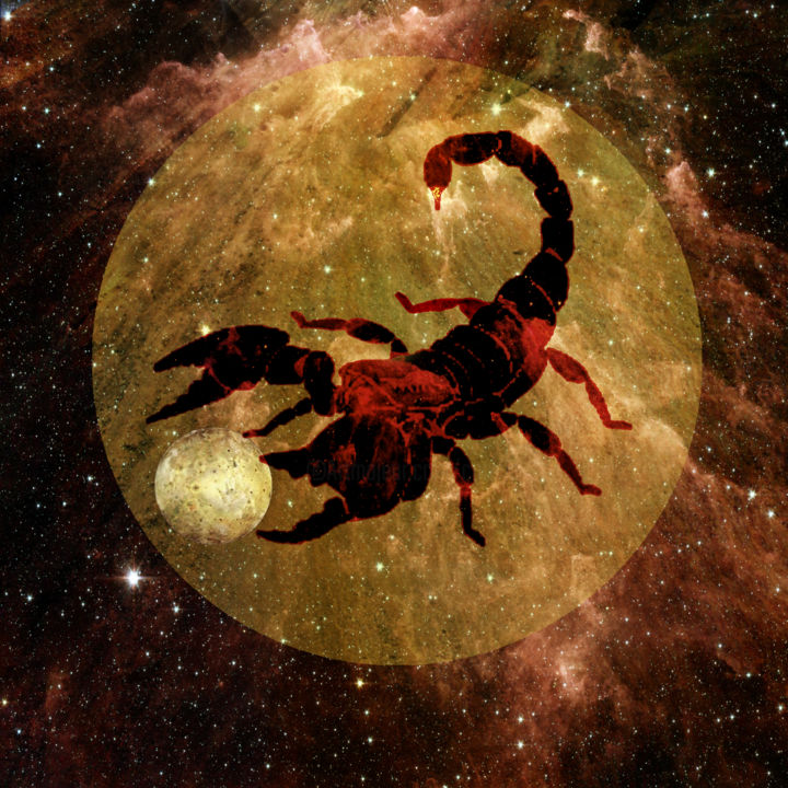 Digital Arts titled "scorpius-scorpion" by Gabriel Cotelle, Original Artwork, 2D Digital Work