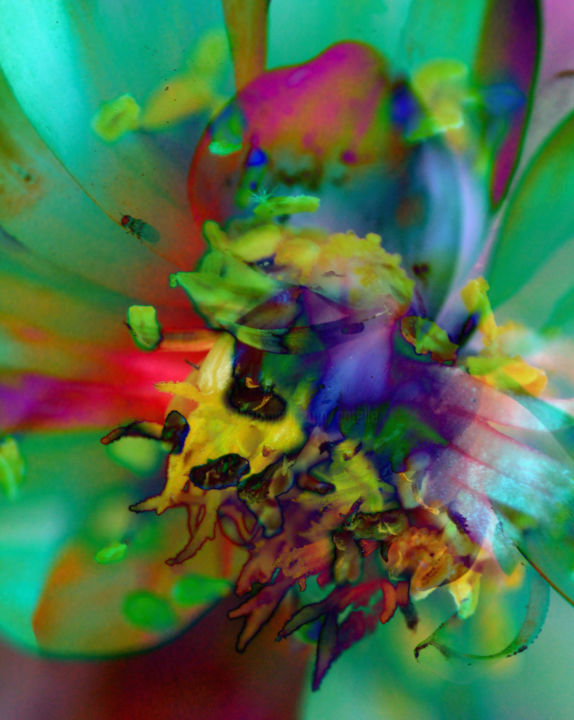 Digital Arts titled "strange-flowers-04" by Gabriel Cotelle, Original Artwork