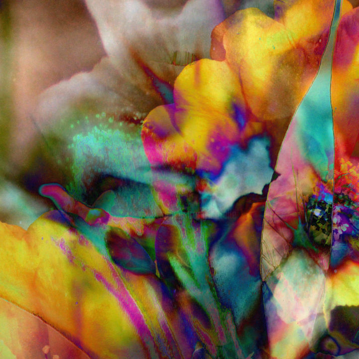 数字艺术 标题为“strange-flowers-06” 由Gabriel Cotelle, 原创艺术品