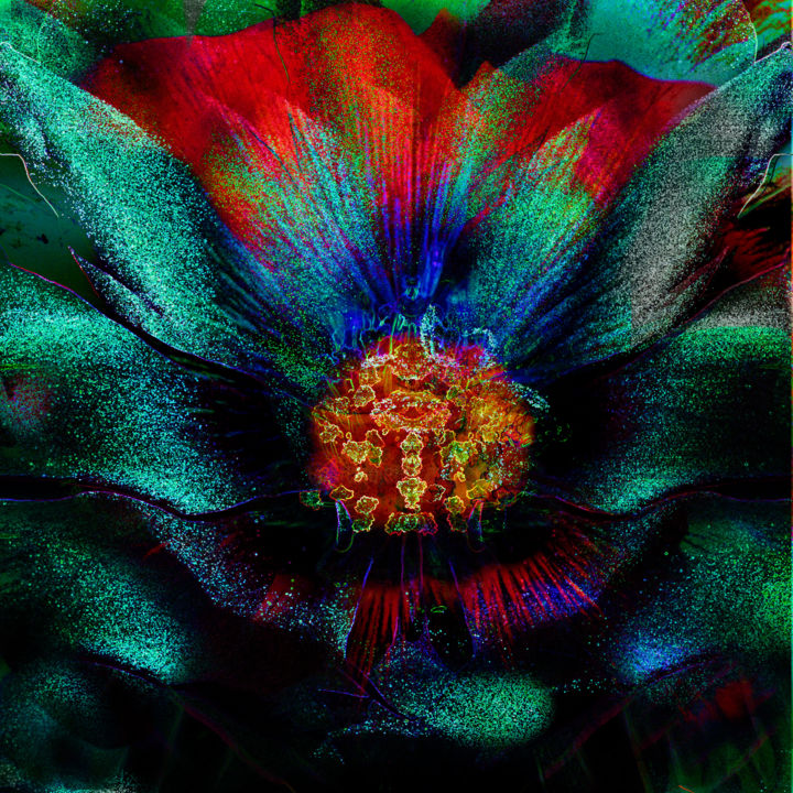 Arts numériques intitulée "strange-flowers-14" par Gabriel Cotelle, Œuvre d'art originale