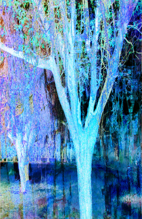 Digital Arts titled "laforetmagique-13" by Gabriel Cotelle, Original Artwork